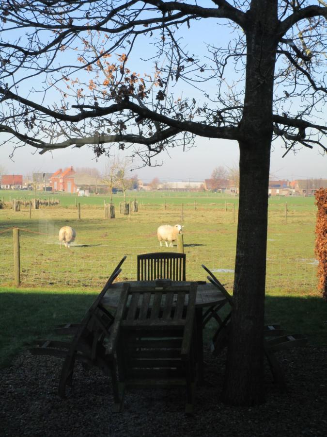 B&B De Pethaan Wielsbeke Bagian luar foto