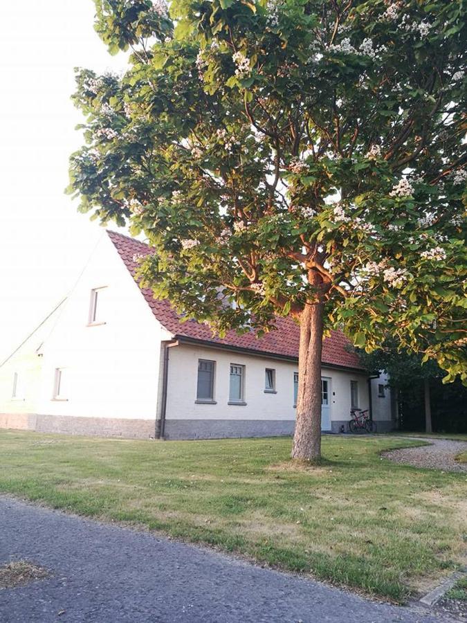 B&B De Pethaan Wielsbeke Bagian luar foto